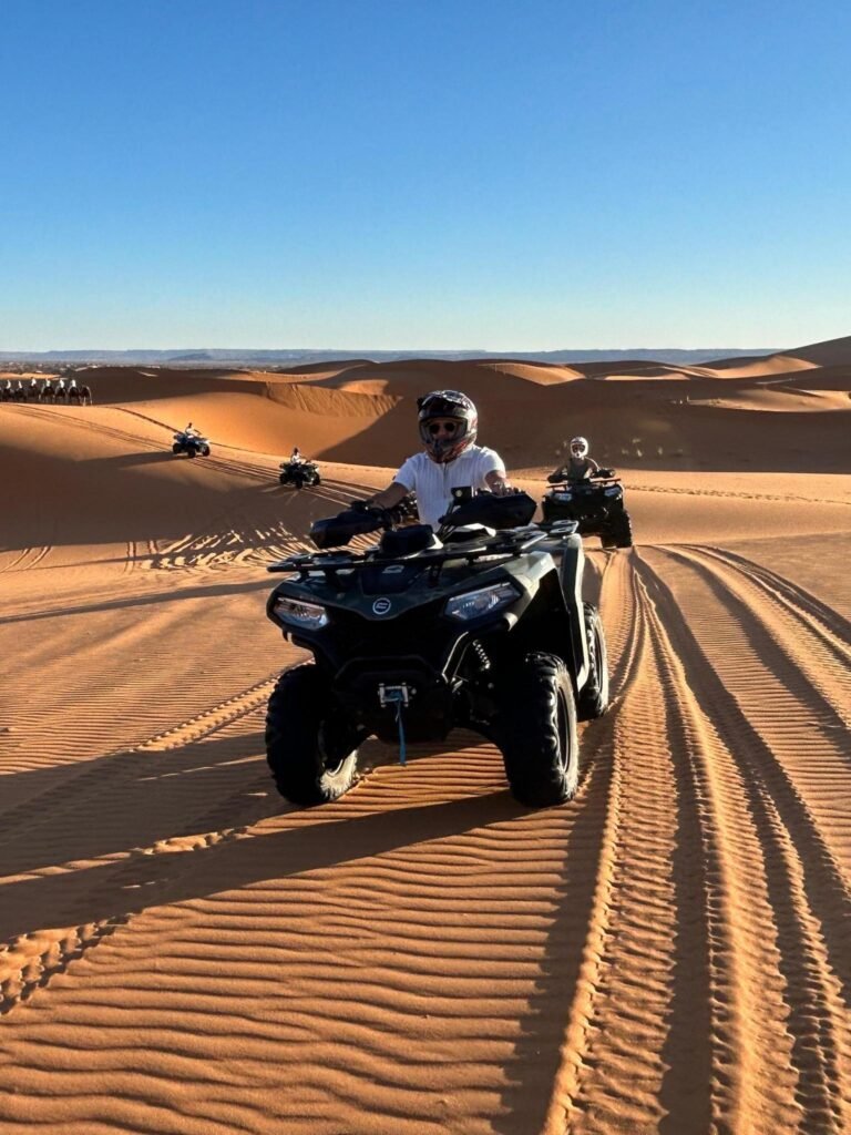 Activities & Experiences