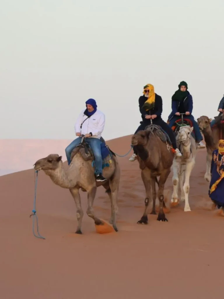 Camel Ride in the Erg Chebbi Dunes