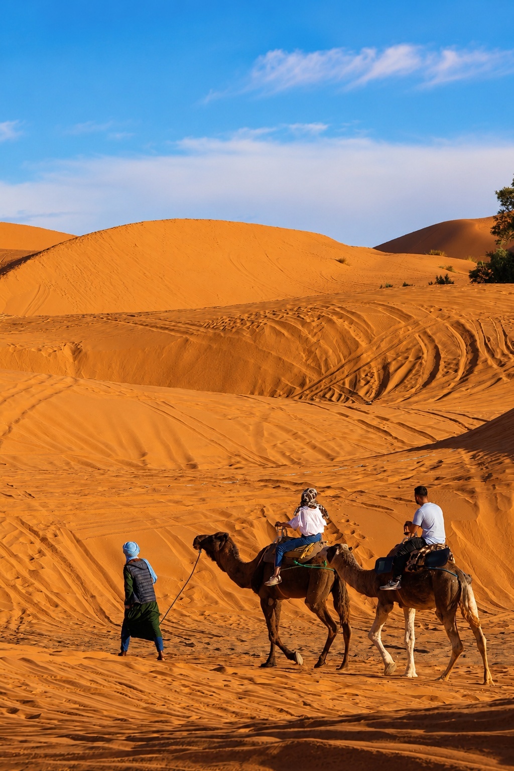 Tourists ride camels through expansive sunlit dunes while a local guide leads the caravan across the desert.