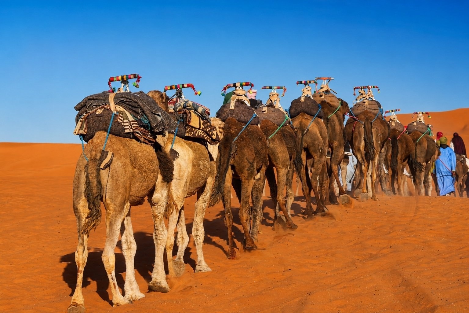 3-day tour from marrakech to merzouga